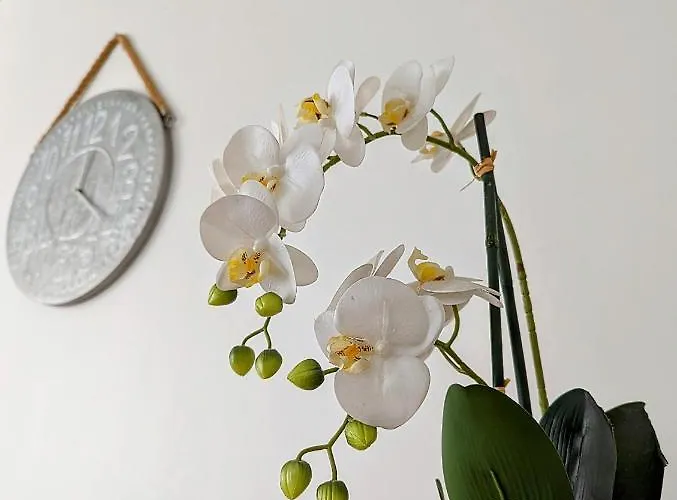 Rénové Avec Parking Privatif ,à 2min De La Plage Appartement